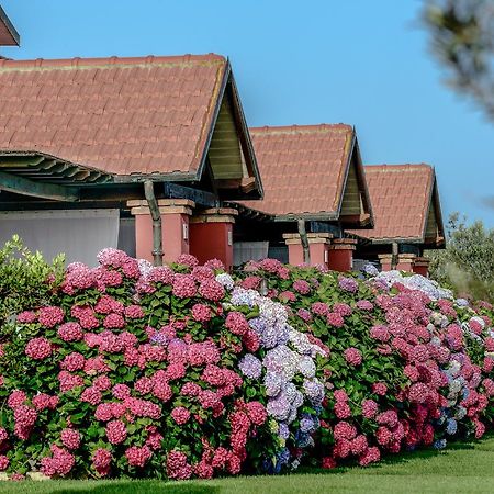 La Pecora Ladra Appartamenti Монтальто-ди-Кастро Экстерьер фото