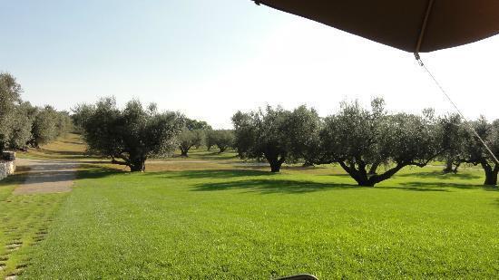 La Pecora Ladra Appartamenti Монтальто-ди-Кастро Экстерьер фото