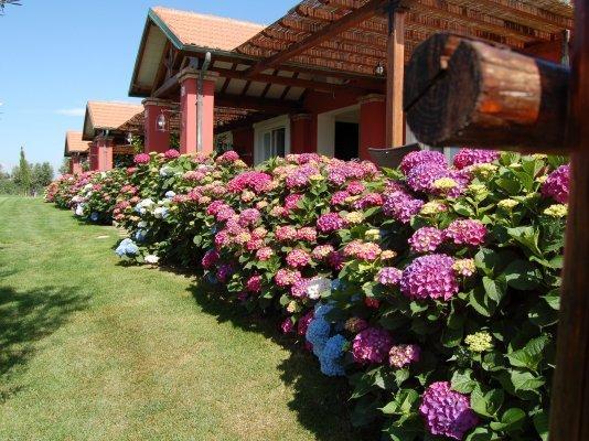 La Pecora Ladra Appartamenti Монтальто-ди-Кастро Номер фото
